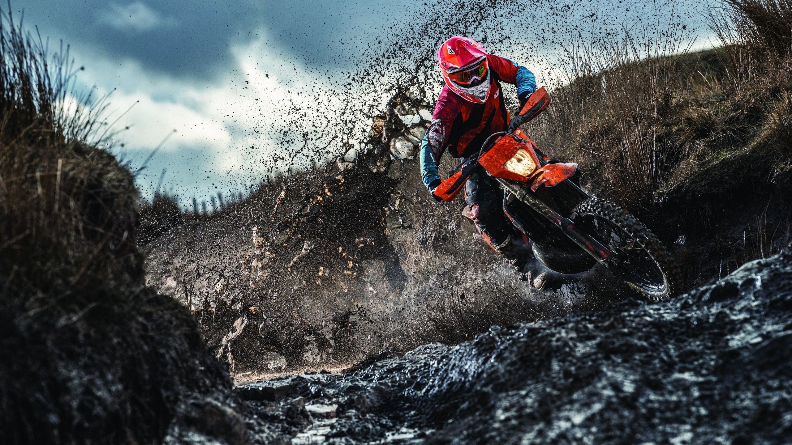 开云中国-里根·史密斯完美入水赢得掌声，里根史密斯仰泳